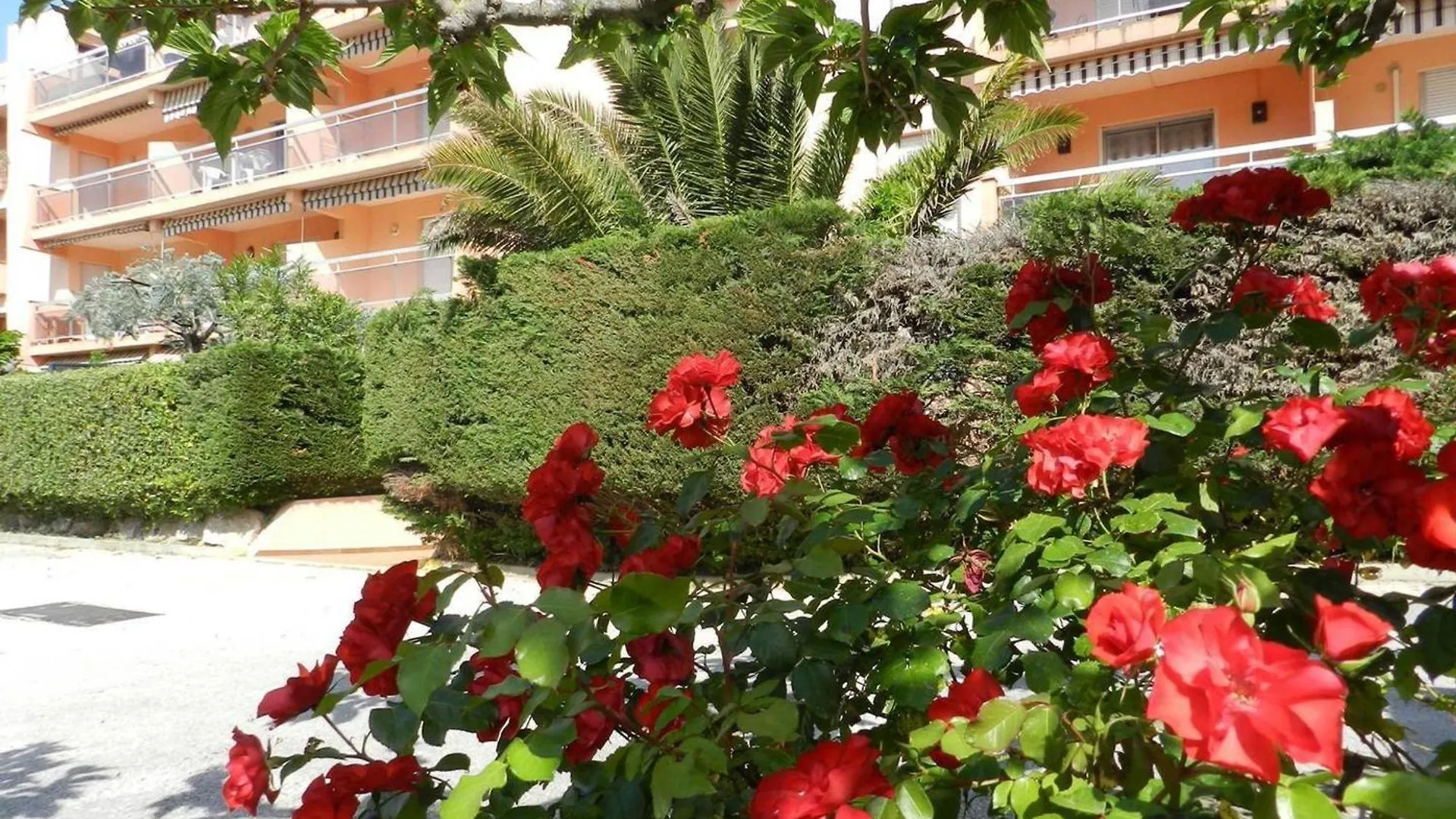 Appartement Confort 2 P. Avec Terrasse, Plage Et Commerces A 200 M - Parking Prive Inclus - Fr-1-251-715 Bormes-les-Mimosas Apartment